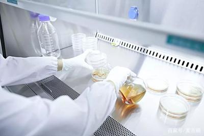 媒體組團(tuán)探秘麥吉麗研發(fā)工廠，揭秘素顏之美的科技密碼